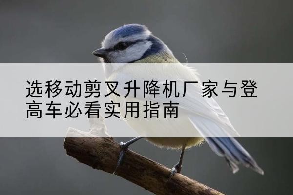 敦化电动升降机厂家-选移动剪叉升降机厂家与登高车必看实用指南