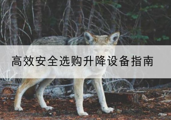 敦化升降货梯厂家推荐-*安全选购升降设备指南