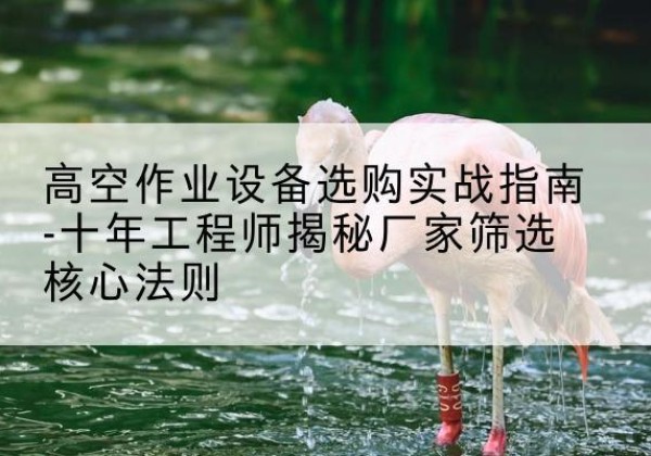 敦化剪叉式升降机厂家-高空作业设备选购实战指南-十年工程师揭秘厂家筛选核心法则